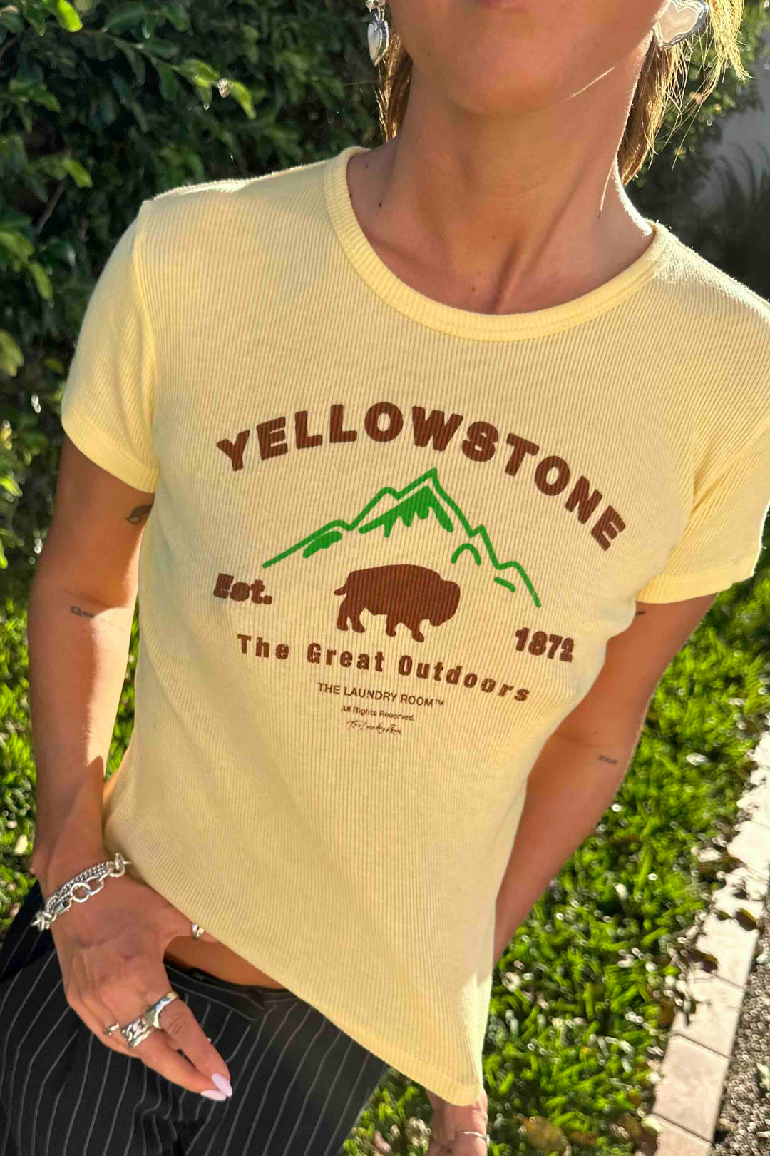 THE LAUNDRY ROOM Womens Yellowstone Bison Baby Tee Tee - Old Gold, WOMENS TEES & TANKS, THE LAUNDRY ROOM, Elwood 101
