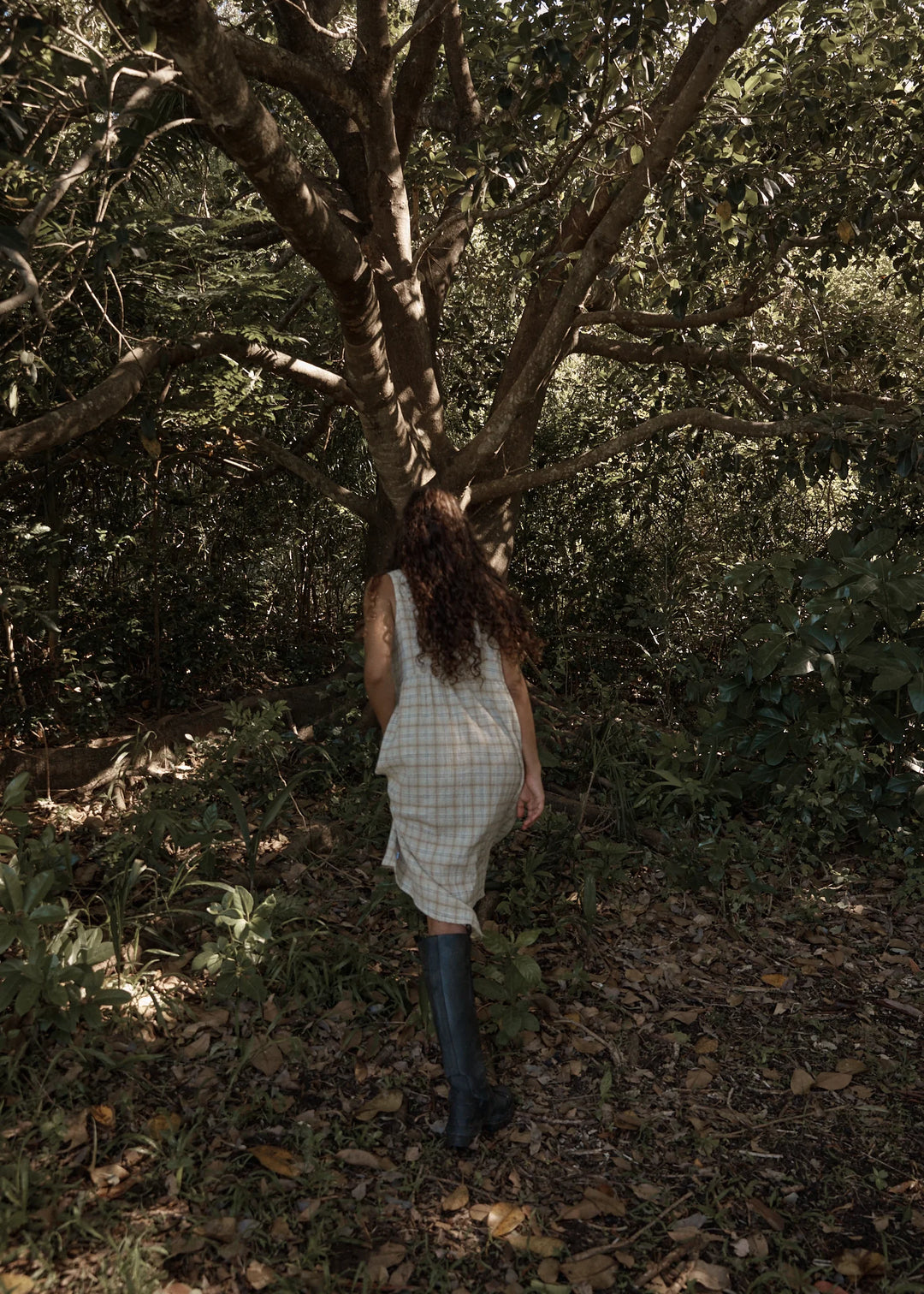 AFENDS Womens Position - Seersucker Check Midi Dress - Tan Check, WOMENS DRESSES, AFENDS, Elwood 101