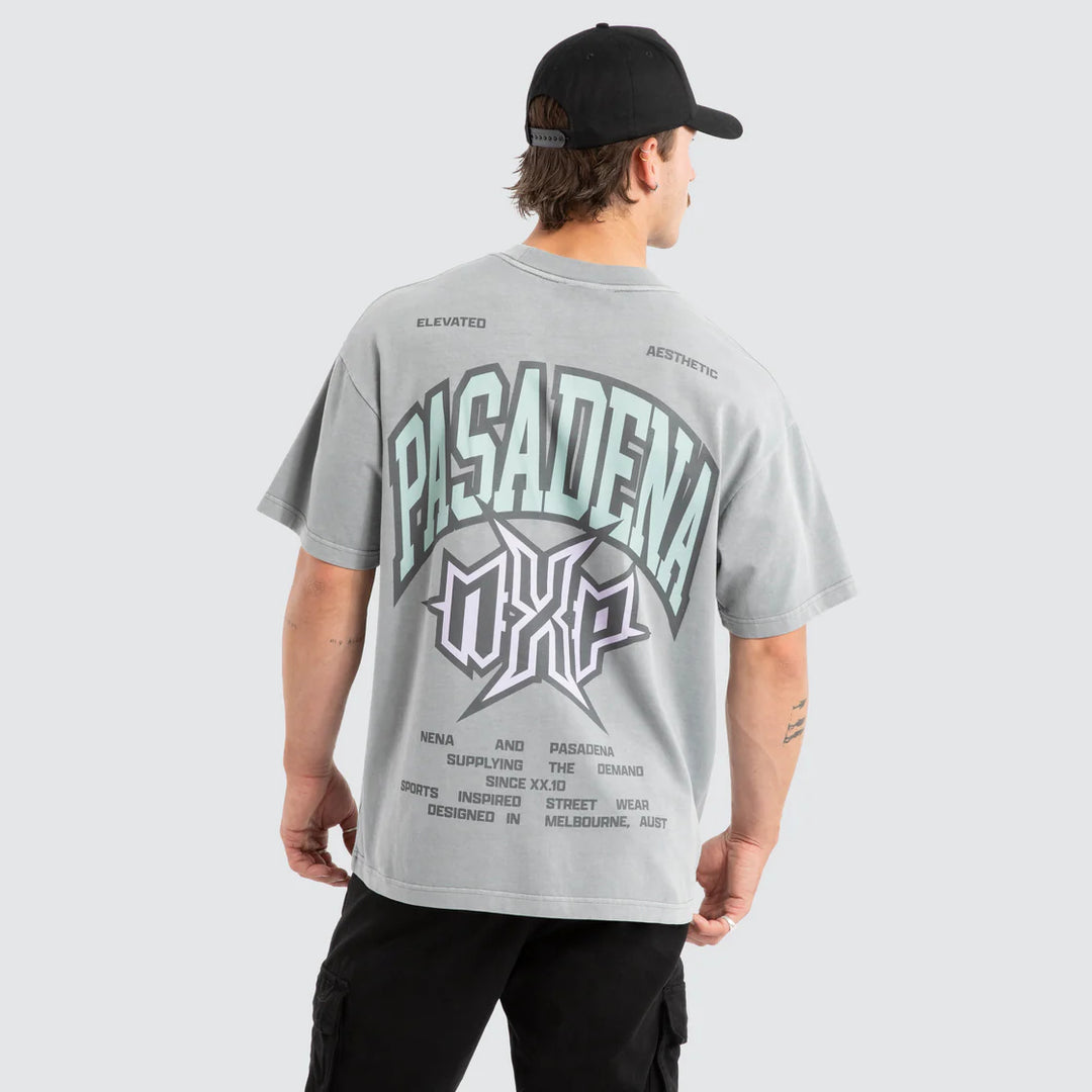 NENA & PASADENA Mens Civil Raptor Tee in Pigment Ultimate Grey