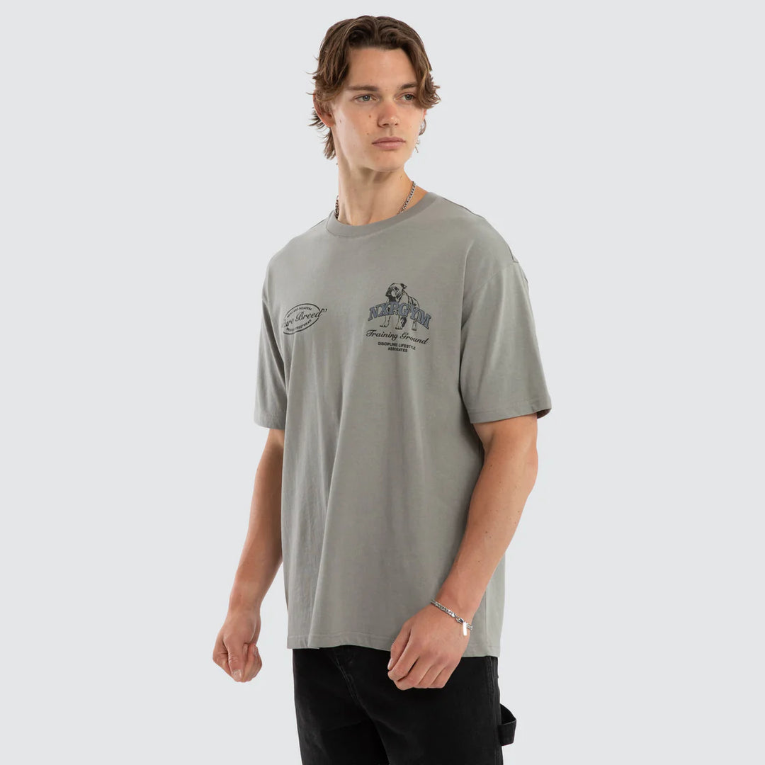 NENA & PASADENA Mens Ground Box Fit Tee in Moon Mist