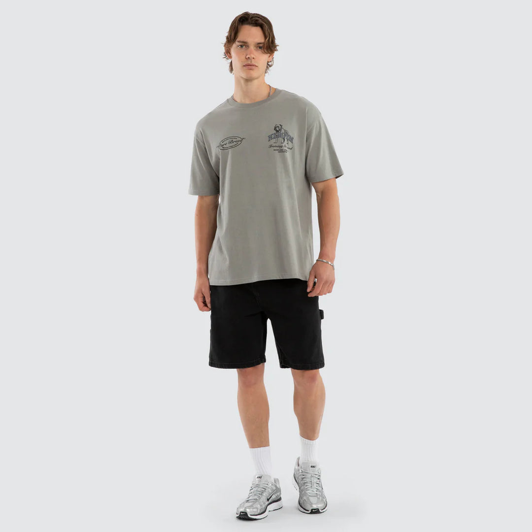 NENA & PASADENA Mens Ground Box Fit Tee in Moon Mist