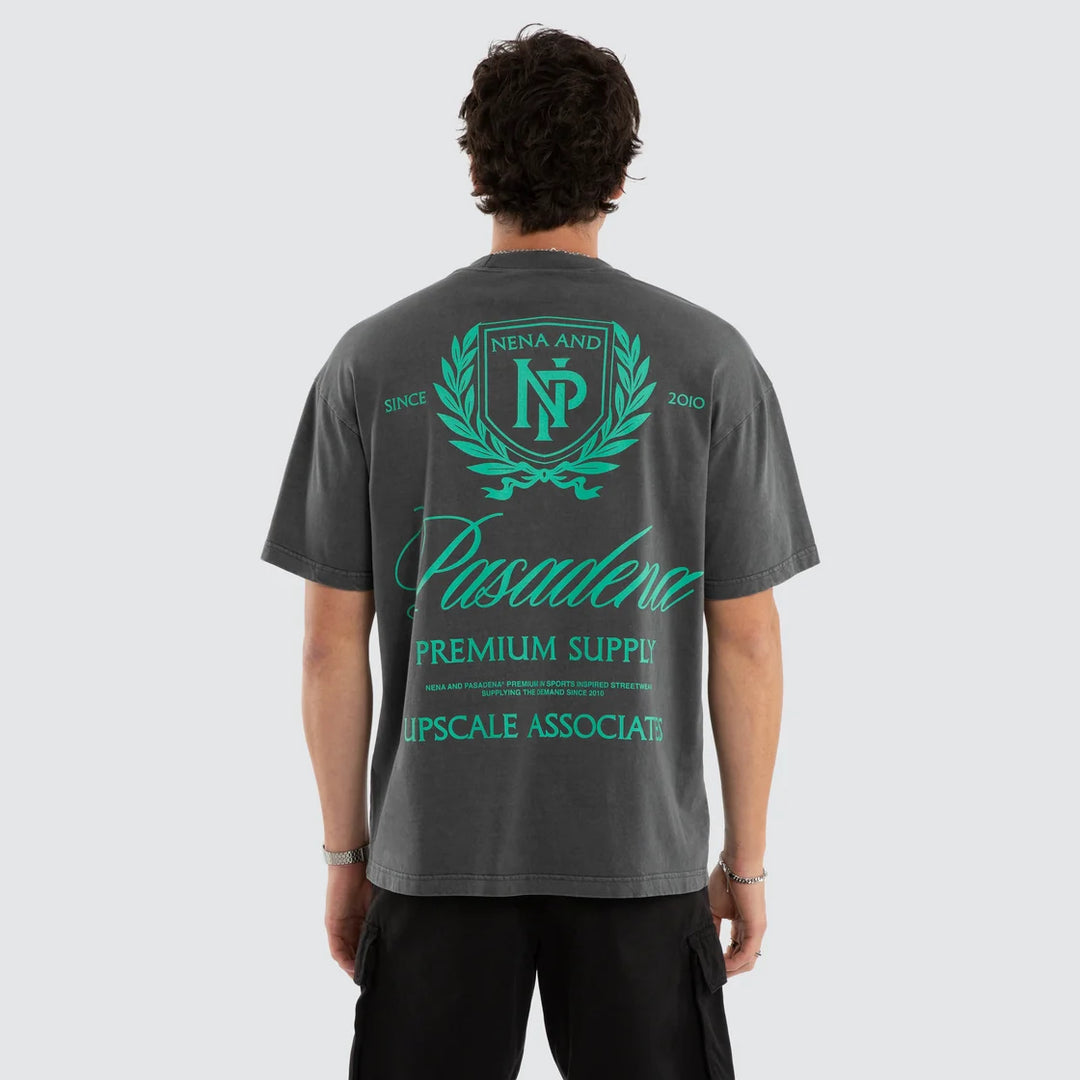 NENA & PASADENA Mens Sablefire Raptor Tee in Pigment Faded Grey