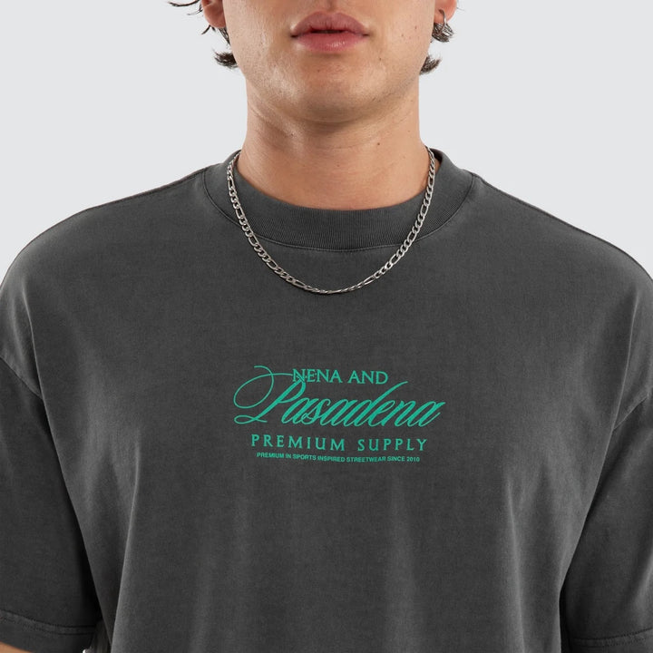 NENA & PASADENA Mens Sablefire Raptor Tee in Pigment Faded Grey