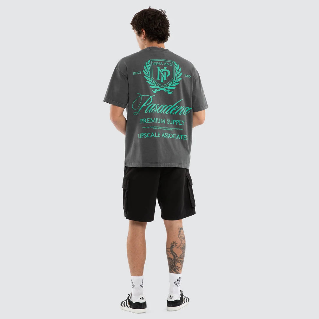 NENA & PASADENA Mens Sablefire Raptor Tee in Pigment Faded Grey