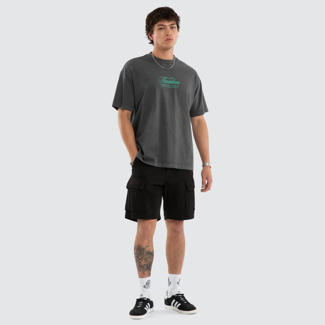 NENA & PASADENA Mens Sablefire Raptor Tee in Pigment Faded Grey