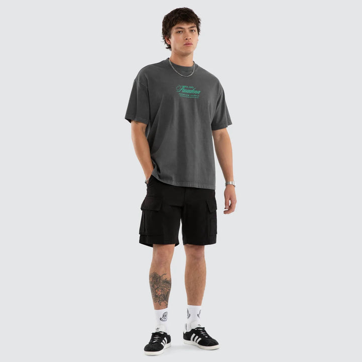 NENA & PASADENA Mens Sablefire Raptor Tee in Pigment Faded Grey