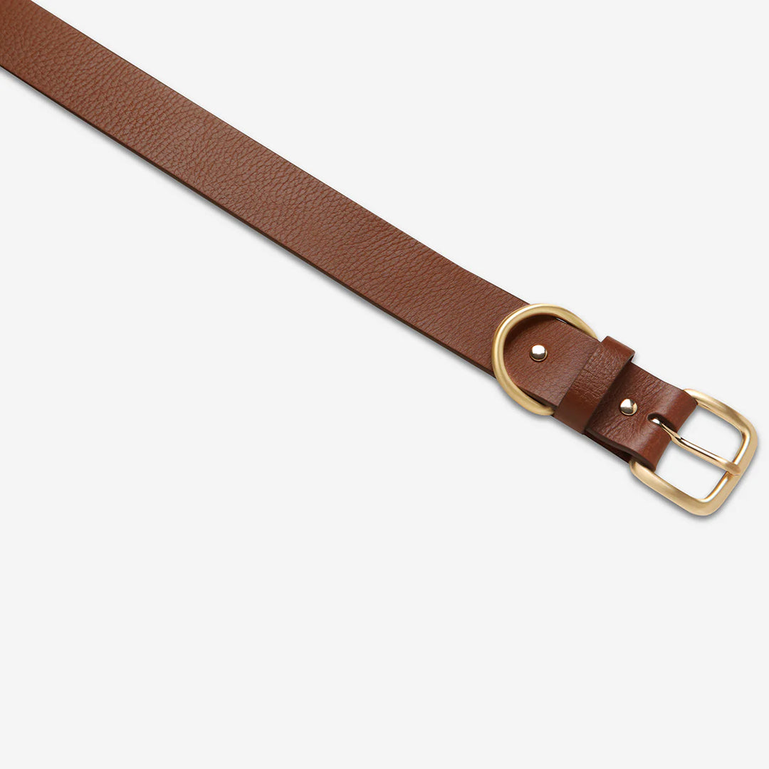 STATUS ANXIETY Womens Disarm Leather Belt - Tan w Gold Buckle, WOMENS BELTS, STATUS ANXIETY, Elwood 101