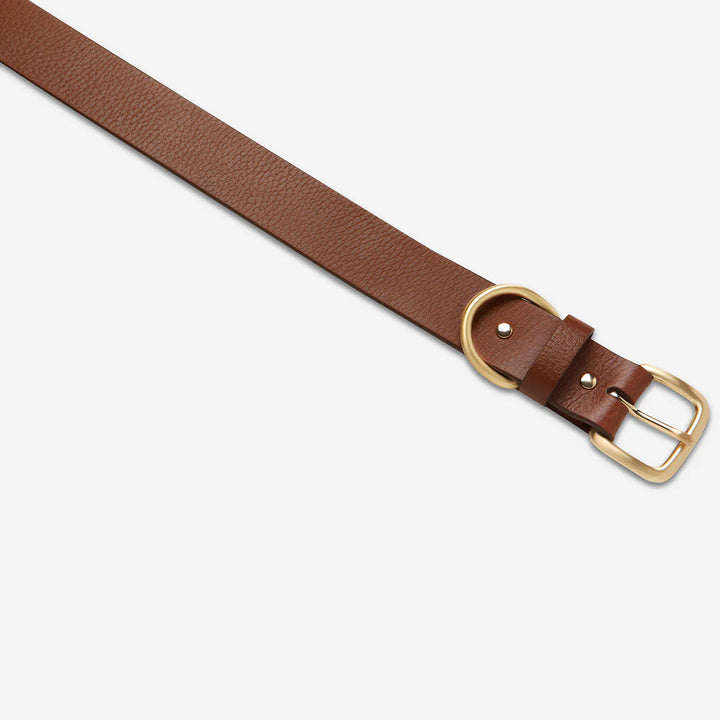 STATUS ANXIETY Womens Disarm Leather Belt - Tan w Gold Buckle, WOMENS BELTS, STATUS ANXIETY, Elwood 101