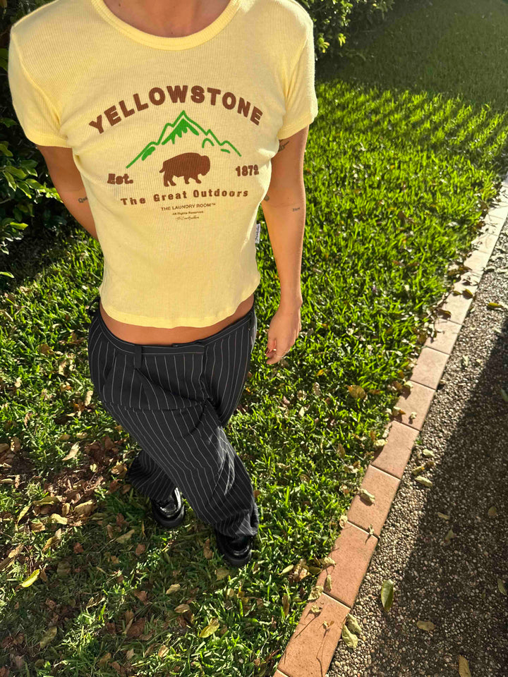 THE LAUNDRY ROOM Womens Yellowstone Bison Baby Tee Tee - Old Gold, WOMENS TEES & TANKS, THE LAUNDRY ROOM, Elwood 101