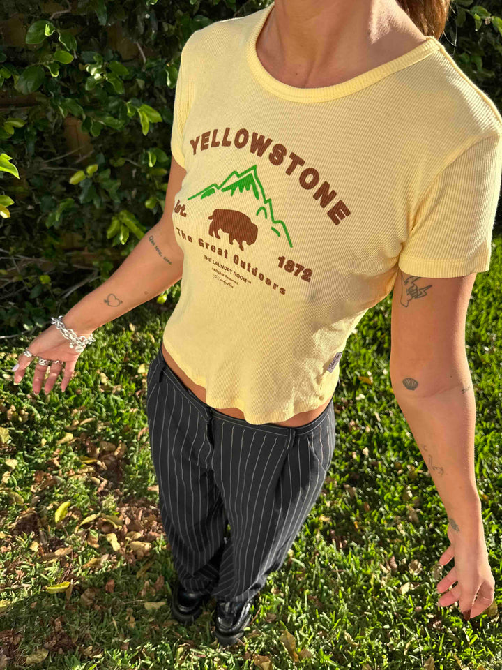 THE LAUNDRY ROOM Womens Yellowstone Bison Baby Tee Tee - Old Gold, WOMENS TEES & TANKS, THE LAUNDRY ROOM, Elwood 101