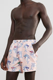 Skwosh Club MENS DOLPHIN D-FLOOR SWIM SHORTS - DOLPHIN PRINT, MENS SHORTS, SKWOSH CLUB, Elwood 101