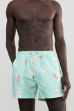 Skwosh Club MENS BONDI BREAKFAST SWIM SHORTS - MINT, MENS SHORTS, SKWOSH CLUB, Elwood 101